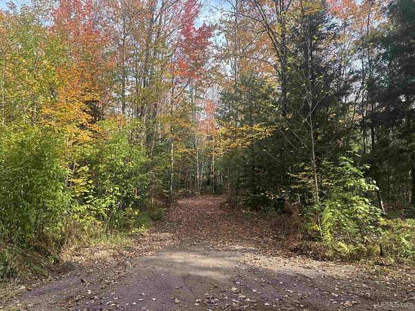 40 Acres of Recreational Land for Sale in Ironwood, Michigan
