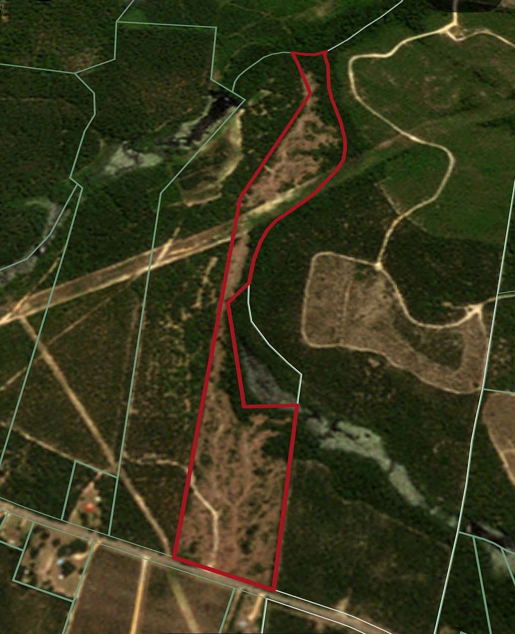 40 Acres of Land for Sale in Bethune, South Carolina