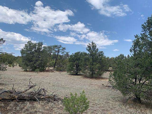 10.7 Acres of Land for Sale in Datil, New Mexico