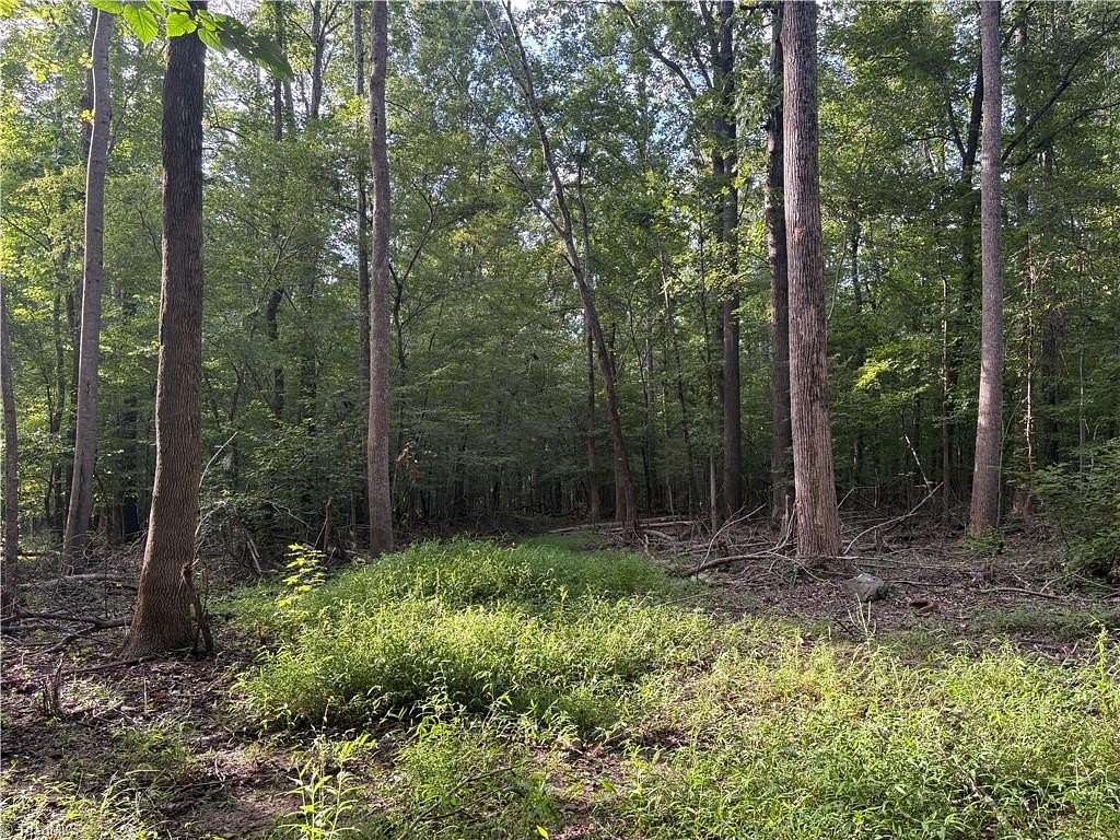 10.3 Acres of Land for Sale in Liberty, North Carolina