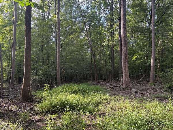 10.3 Acres of Land for Sale in Liberty, North Carolina
