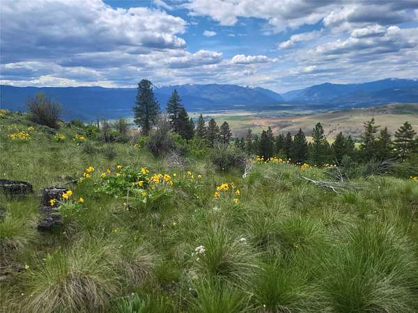 20 Acres of Recreational Land for Sale in Plains, Montana
