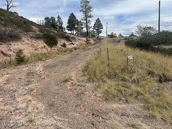 1 Acre of Residential Land for Sale in Show Low, Arizona