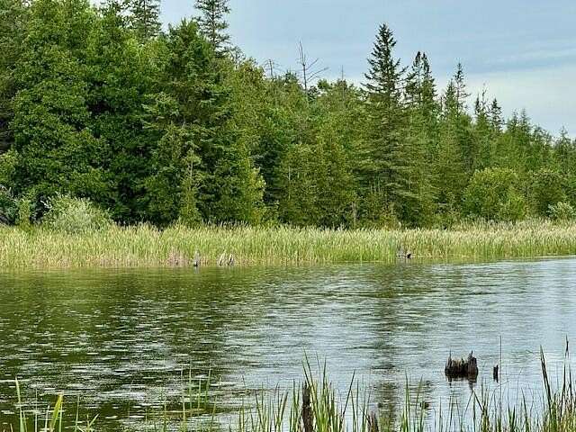 2.2 Acres of Residential Land for Sale in Cheboygan, Michigan