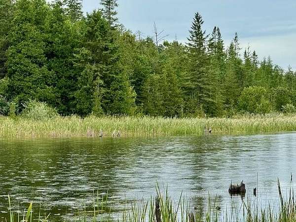 2.2 Acres of Residential Land for Sale in Cheboygan, Michigan