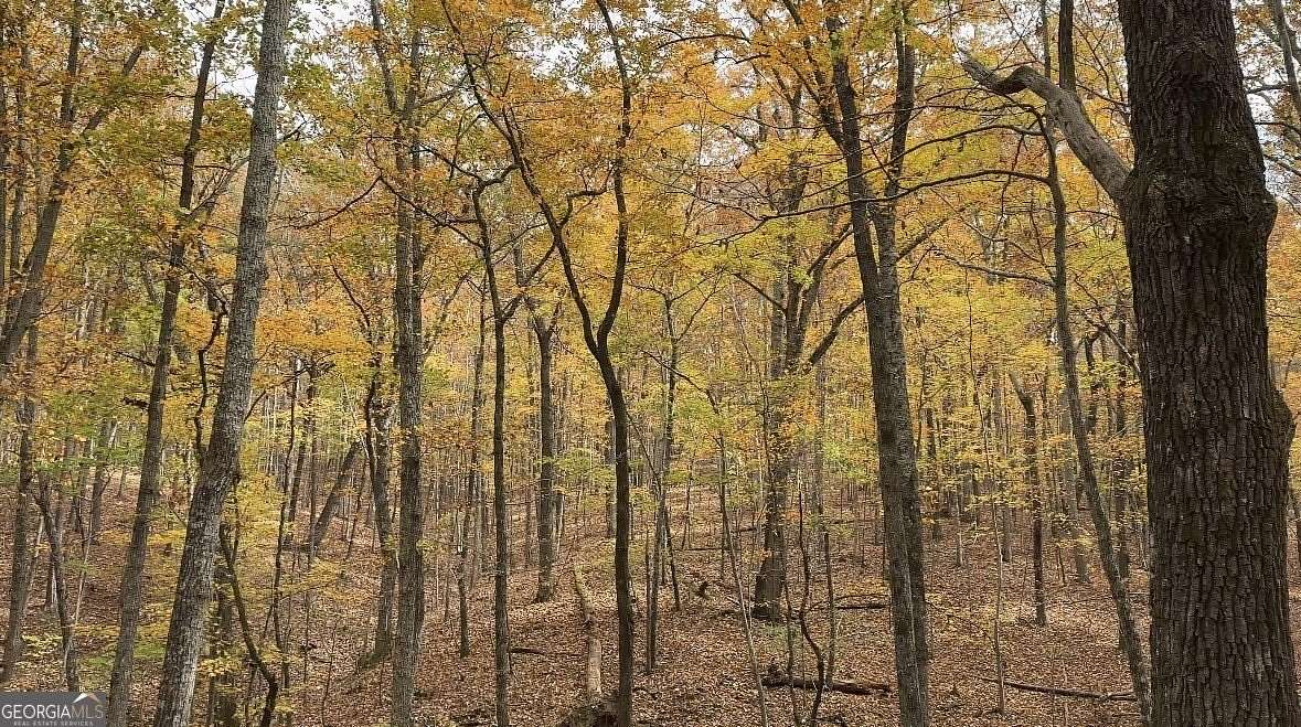 184 Acres of Recreational Land for Sale in Rockmart, Georgia