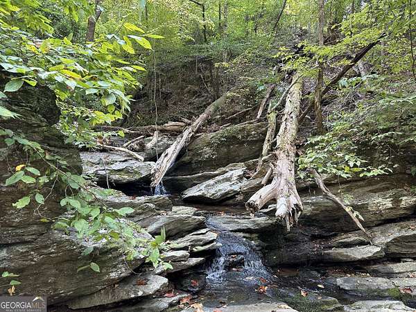 184 Acres of Recreational Land for Sale in Rockmart, Georgia