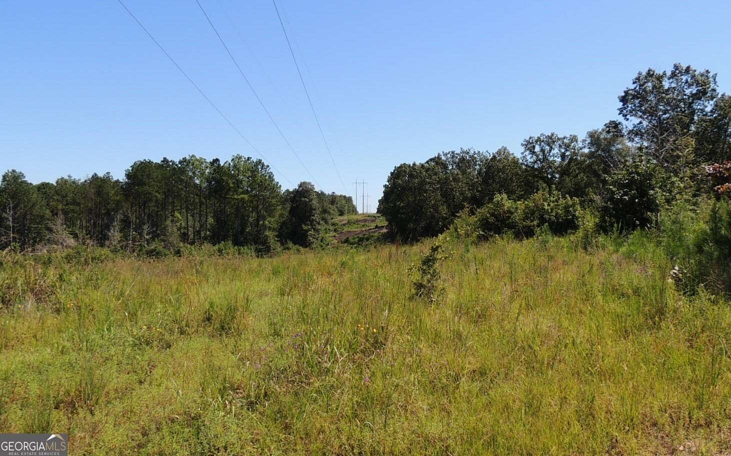 57 Acres of Recreational Land for Sale in Franklin, Georgia