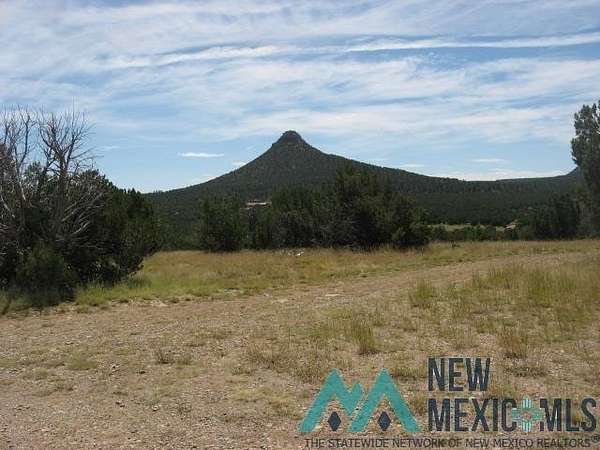 3.75 Acres of Land for Sale in Serafina, New Mexico