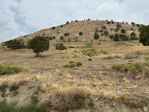 7.37 Acres of Land for Sale in Mount Pleasant, Utah
