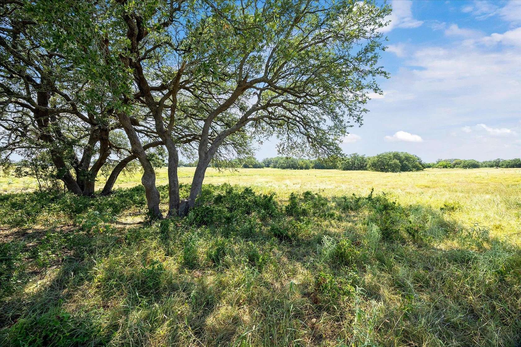 53.7 Acres of Agricultural Land for Sale in Bertram, Texas