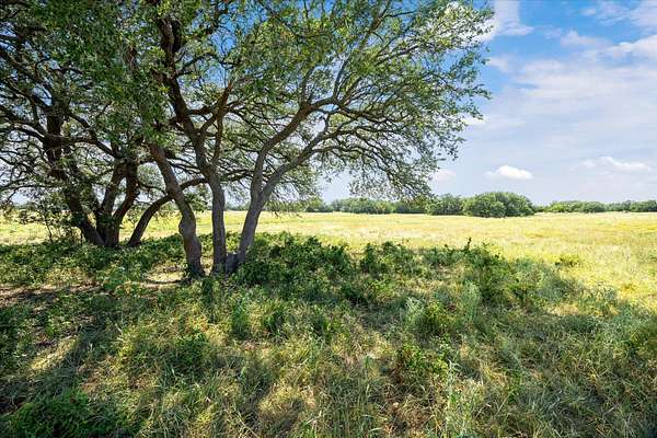 53.7 Acres of Agricultural Land for Sale in Bertram, Texas