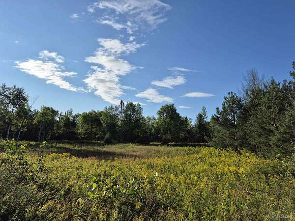 50 Acres of Land for Sale in Trenary, Michigan