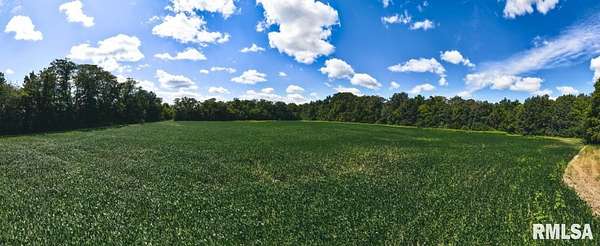 20 Acres of Agricultural Land for Sale in Hindsboro, Illinois