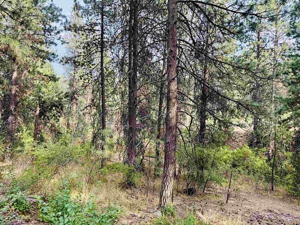 0.38 Acres of Residential Land for Sale in Spokane, Washington