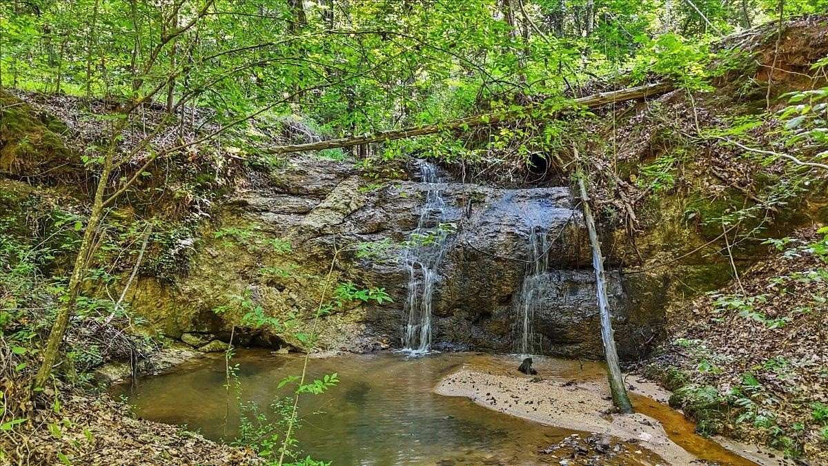 59.4 Acres of Improved Land for Sale in Gray Court, South Carolina