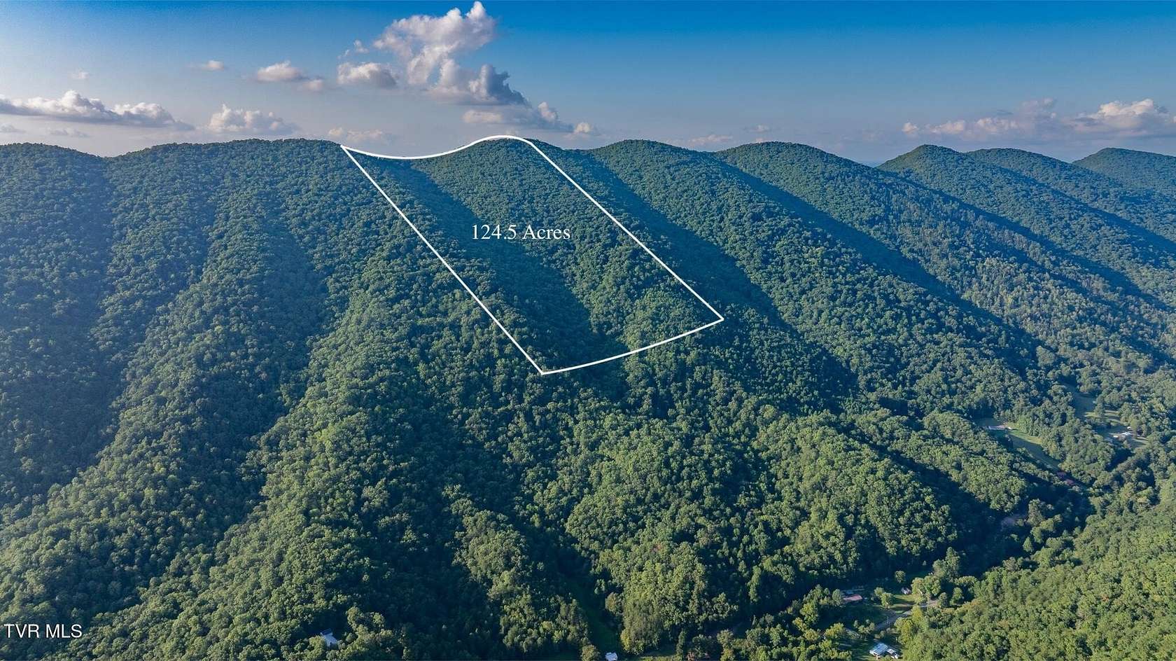 125 Acres of Recreational Land for Sale in Mendota, Virginia