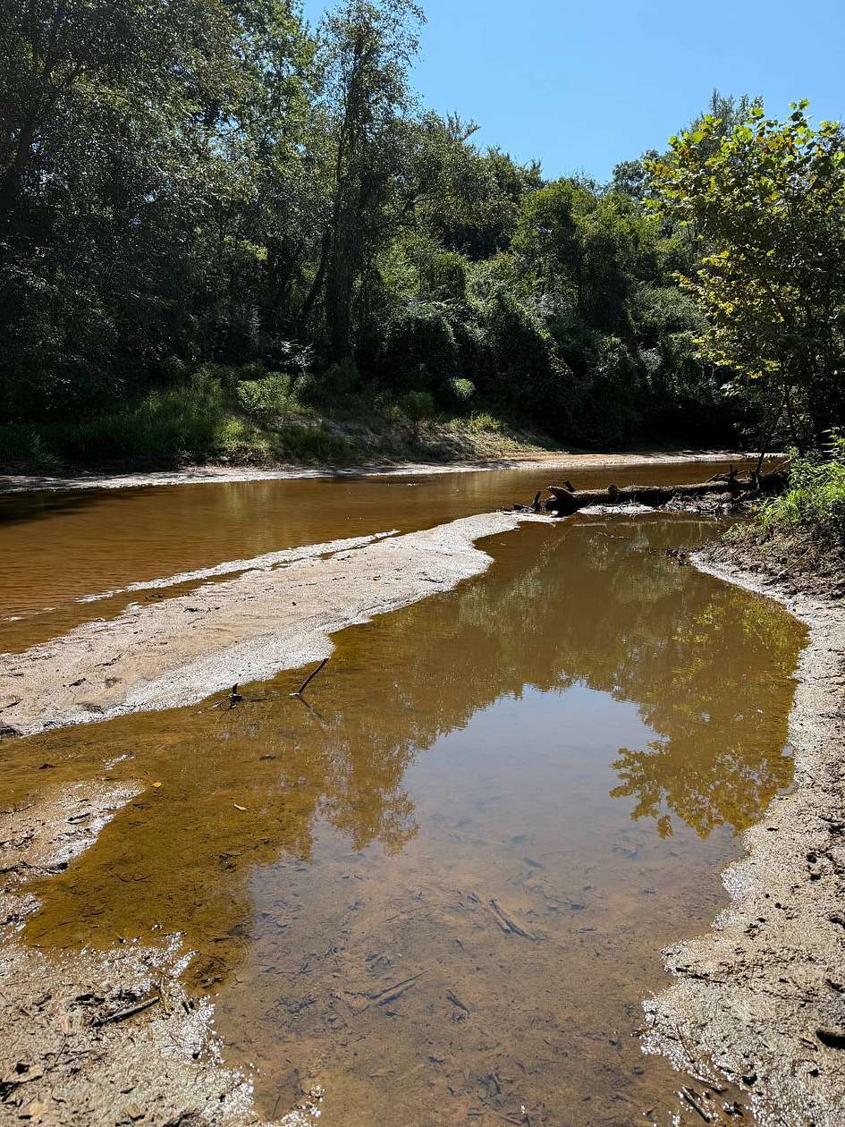 194 Acres of Land for Sale in Hickory, Mississippi