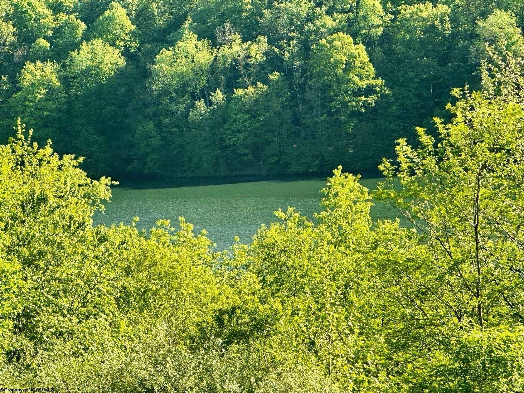 3 Acres of Residential Land for Sale in Horner, West Virginia