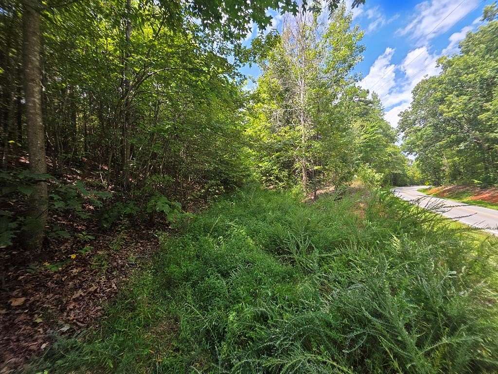 16.5 Acres of Land for Sale in Drakes Branch, Virginia