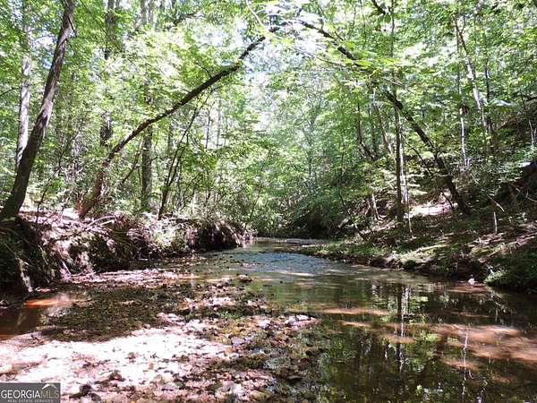 24.3 Acres of Recreational Land for Sale in Franklin, Georgia