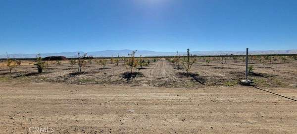 19.3 Acres of Agricultural Land for Sale in Maricopa, California