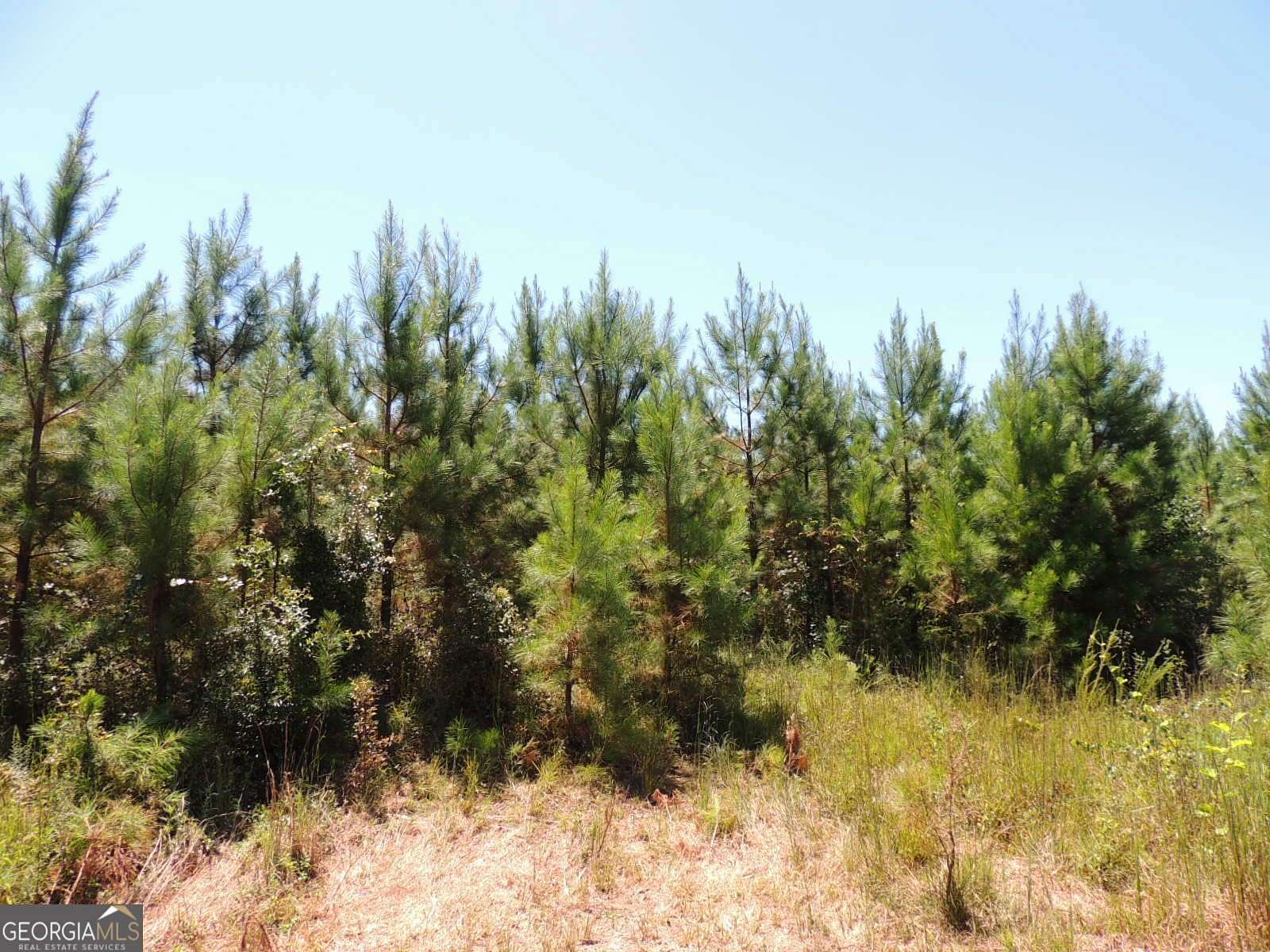 13.9 Acres of Recreational Land for Sale in Franklin, Georgia