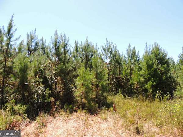 24.5 Acres of Recreational Land for Sale in Franklin, Georgia