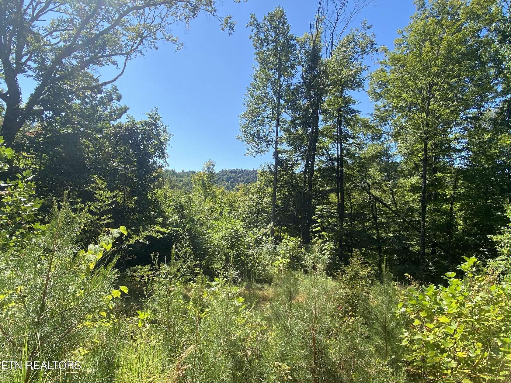 133 Acres of Land for Sale in Jamestown, Tennessee