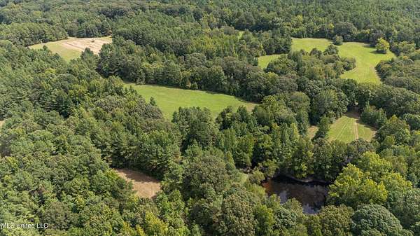 112 Acres of Land for Sale in Holly Springs, Mississippi