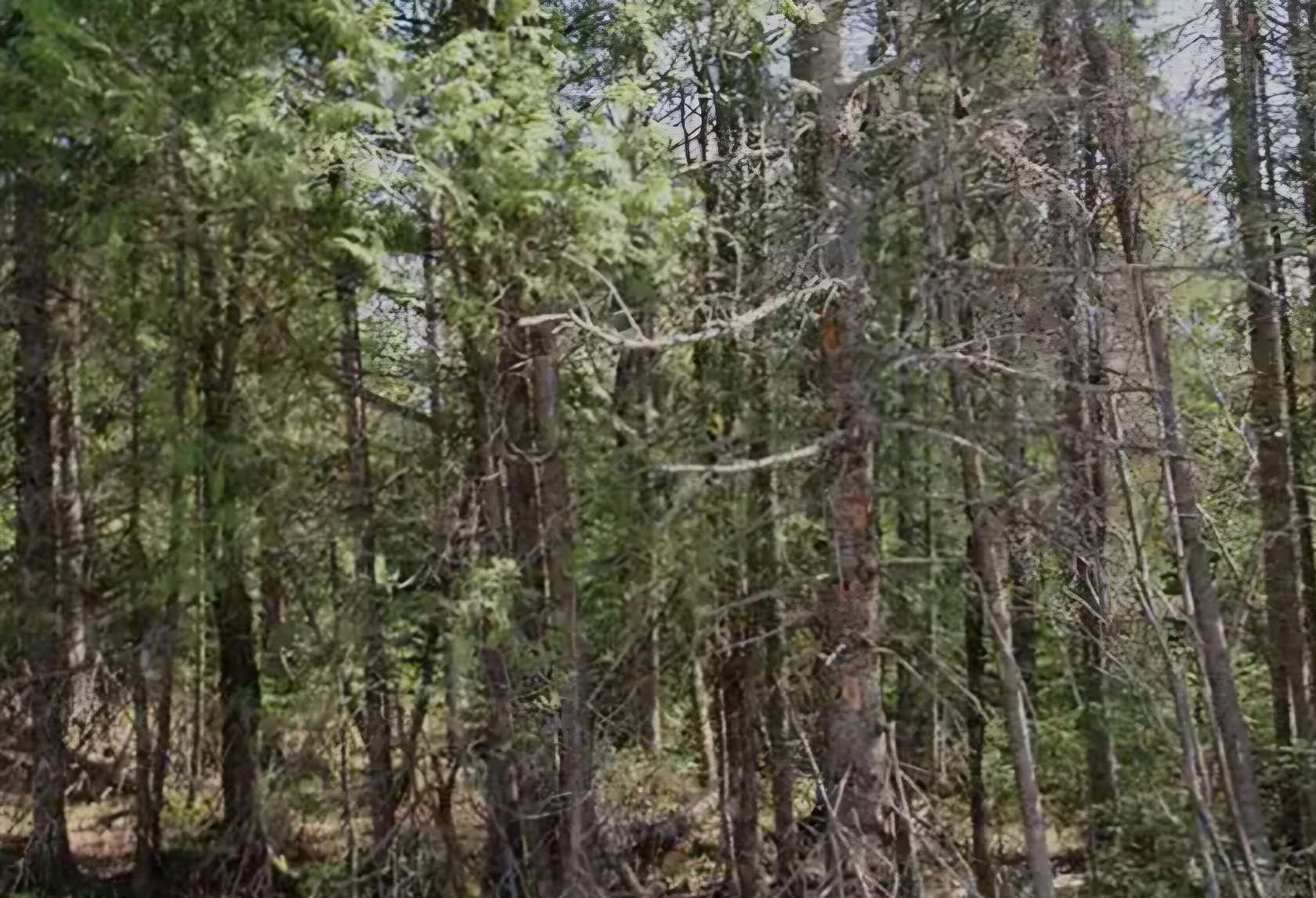 0.69 Acres of Residential Land for Sale in Grand Haven, Michigan