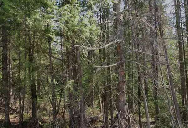 0.69 Acres of Residential Land for Sale in Grand Haven, Michigan