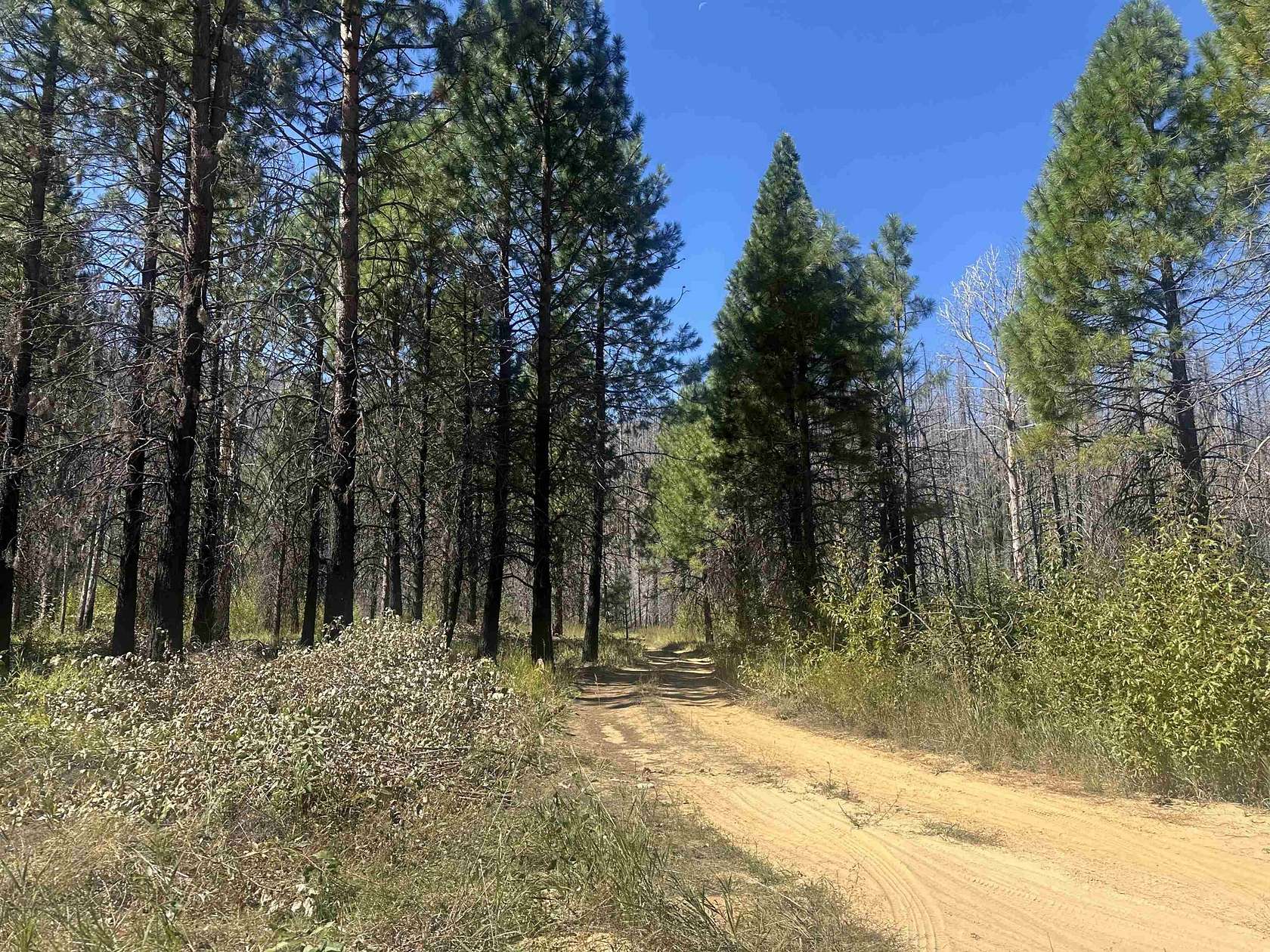 16.9 Acres of Recreational Land for Sale in Greenville, California