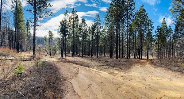 16.9 Acres of Recreational Land for Sale in Greenville, California