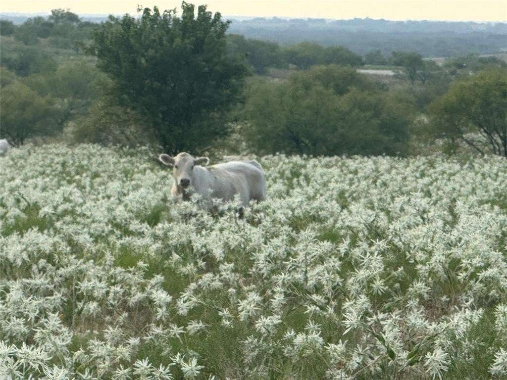 10 Acres of Land for Sale in Decatur, Texas