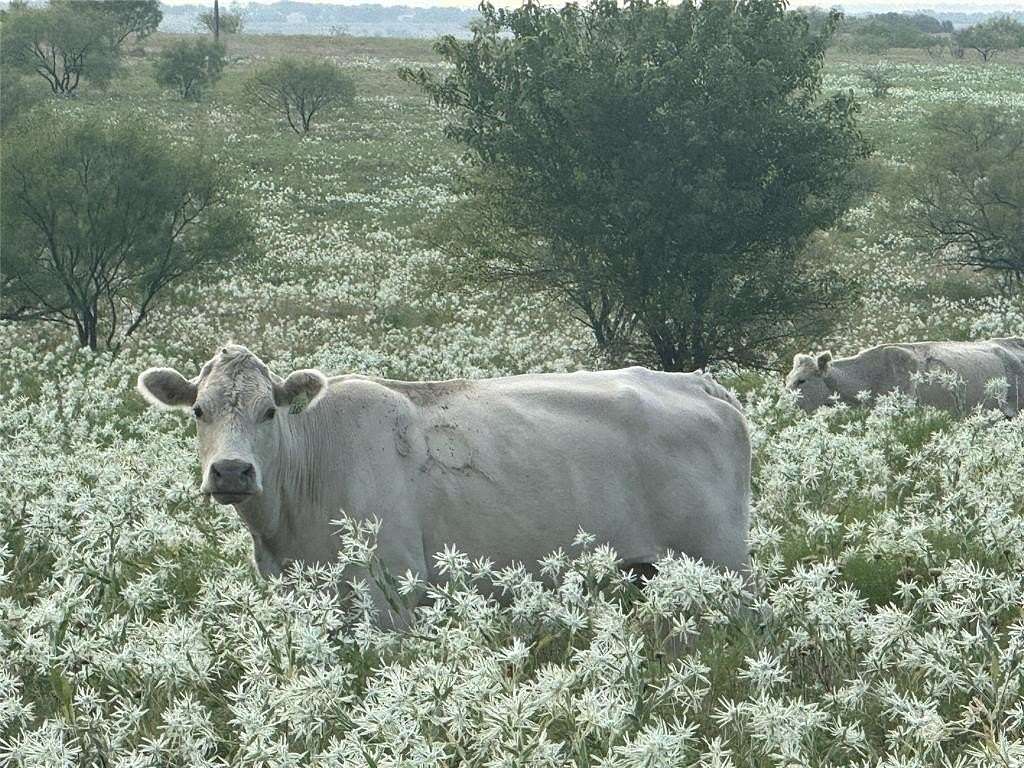 10.2 Acres of Land for Sale in Decatur, Texas