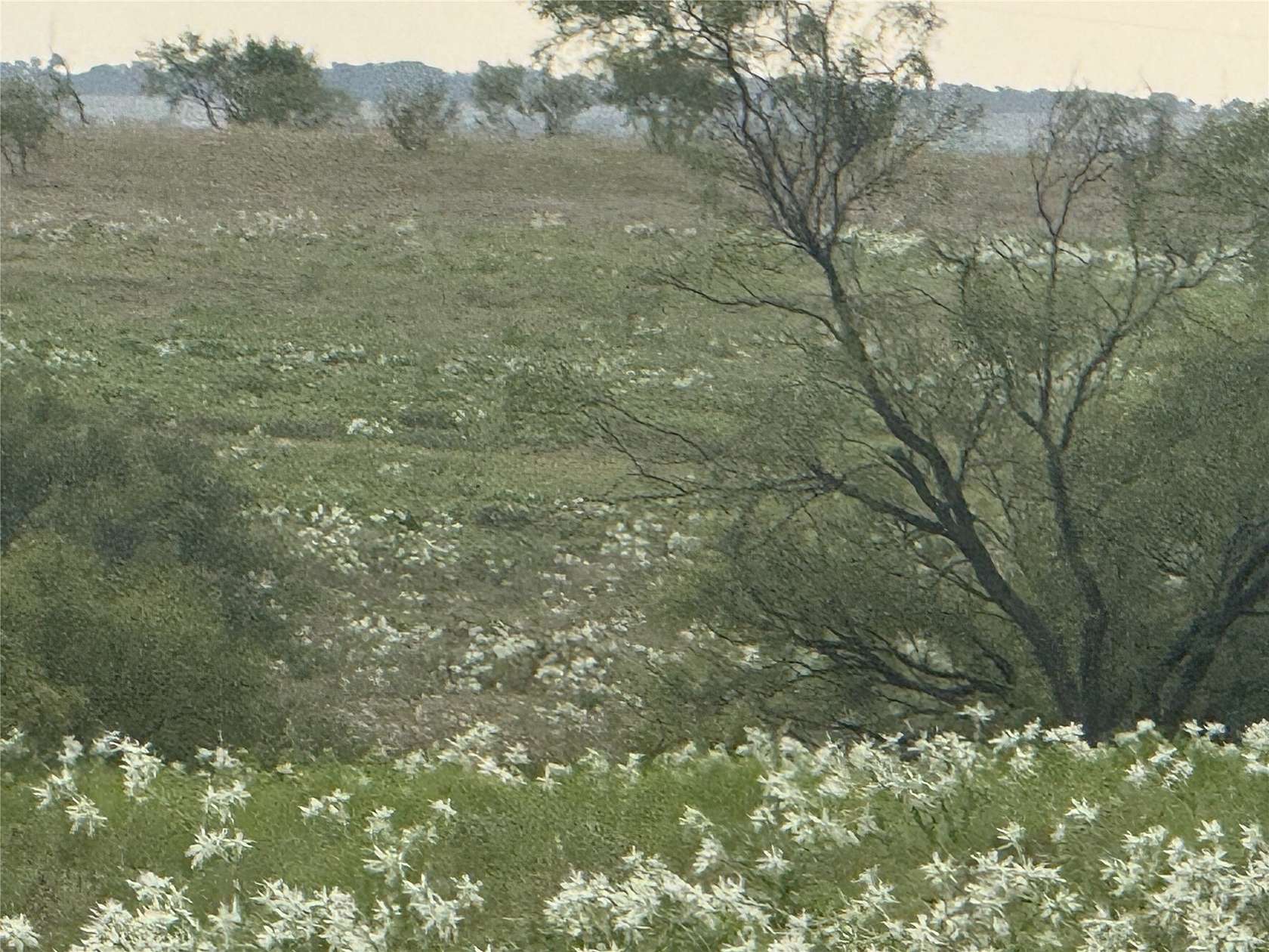 10.1 Acres of Land for Sale in Decatur, Texas