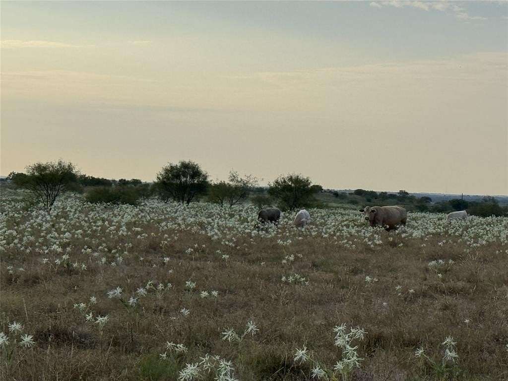 17.1 Acres of Land for Sale in Decatur, Texas