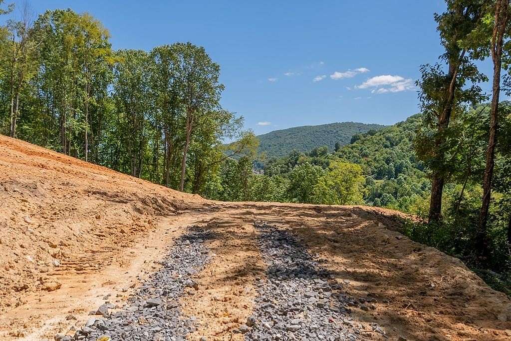 24.8 Acres of Recreational Land for Sale in Bastian, Virginia