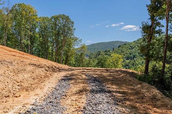 24.8 Acres of Recreational Land for Sale in Bastian, Virginia