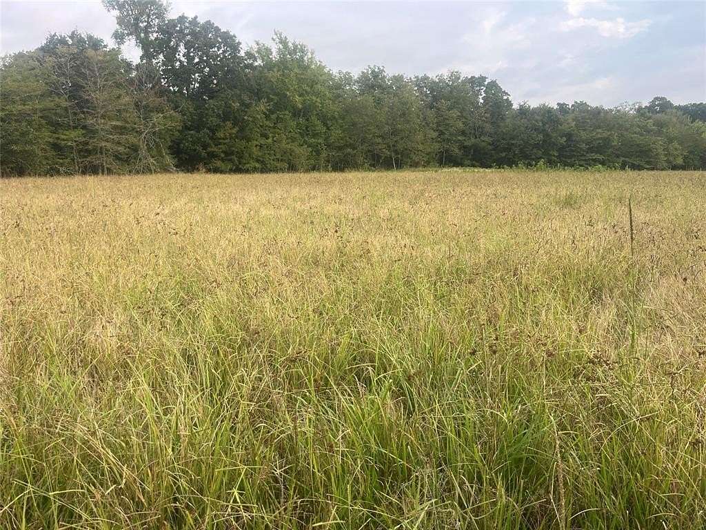 8 Acres of Land for Sale in Bagwell, Texas