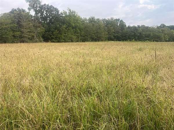 8 Acres of Land for Sale in Bagwell, Texas