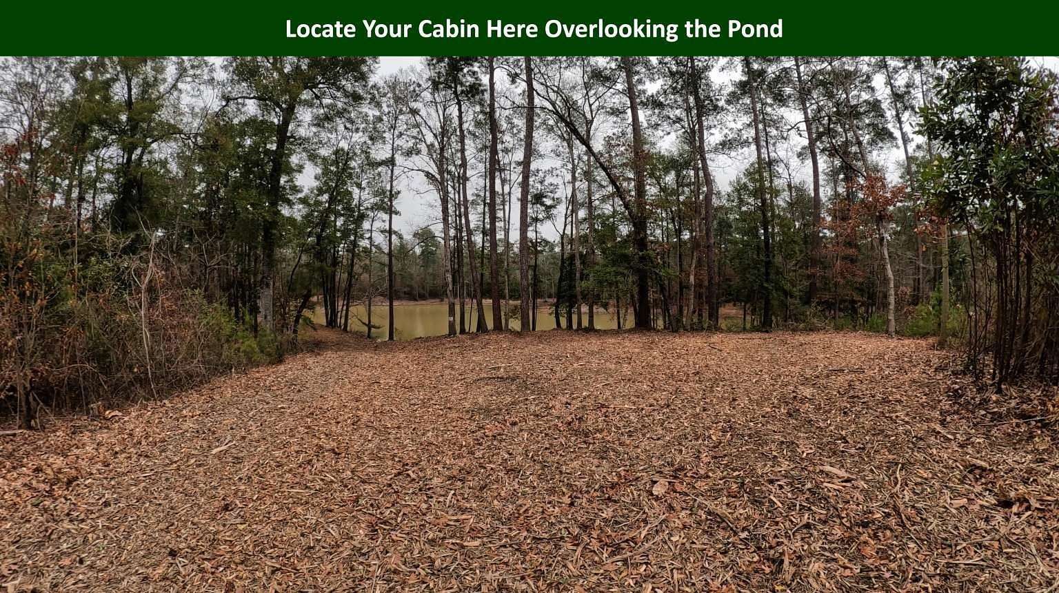 47.8 Acres of Land for Sale in Woodville, Texas