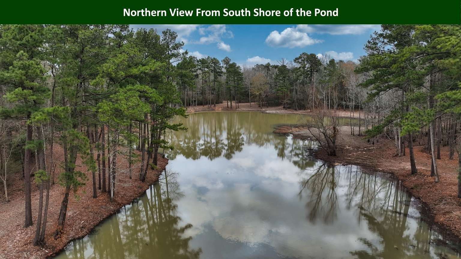 47.8 Acres of Land for Sale in Woodville, Texas