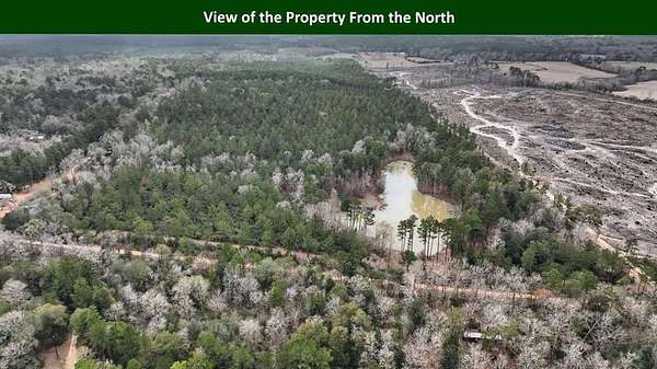 47.8 Acres of Recreational Land for Sale in Woodville, Texas