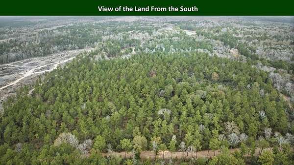 47.8 Acres of Recreational Land for Sale in Woodville, Texas