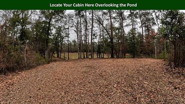 47.8 Acres of Recreational Land for Sale in Woodville, Texas