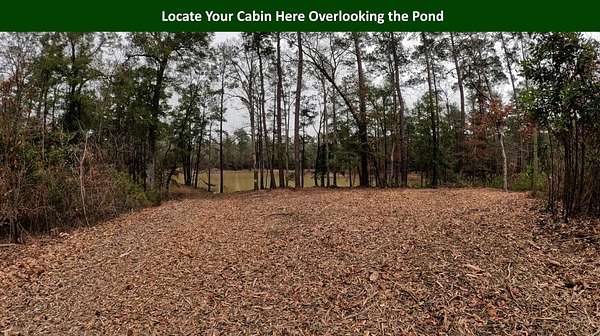 47.8 Acres of Land for Sale in Woodville, Texas
