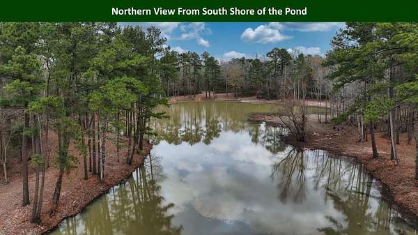 47.8 Acres of Land for Sale in Woodville, Texas