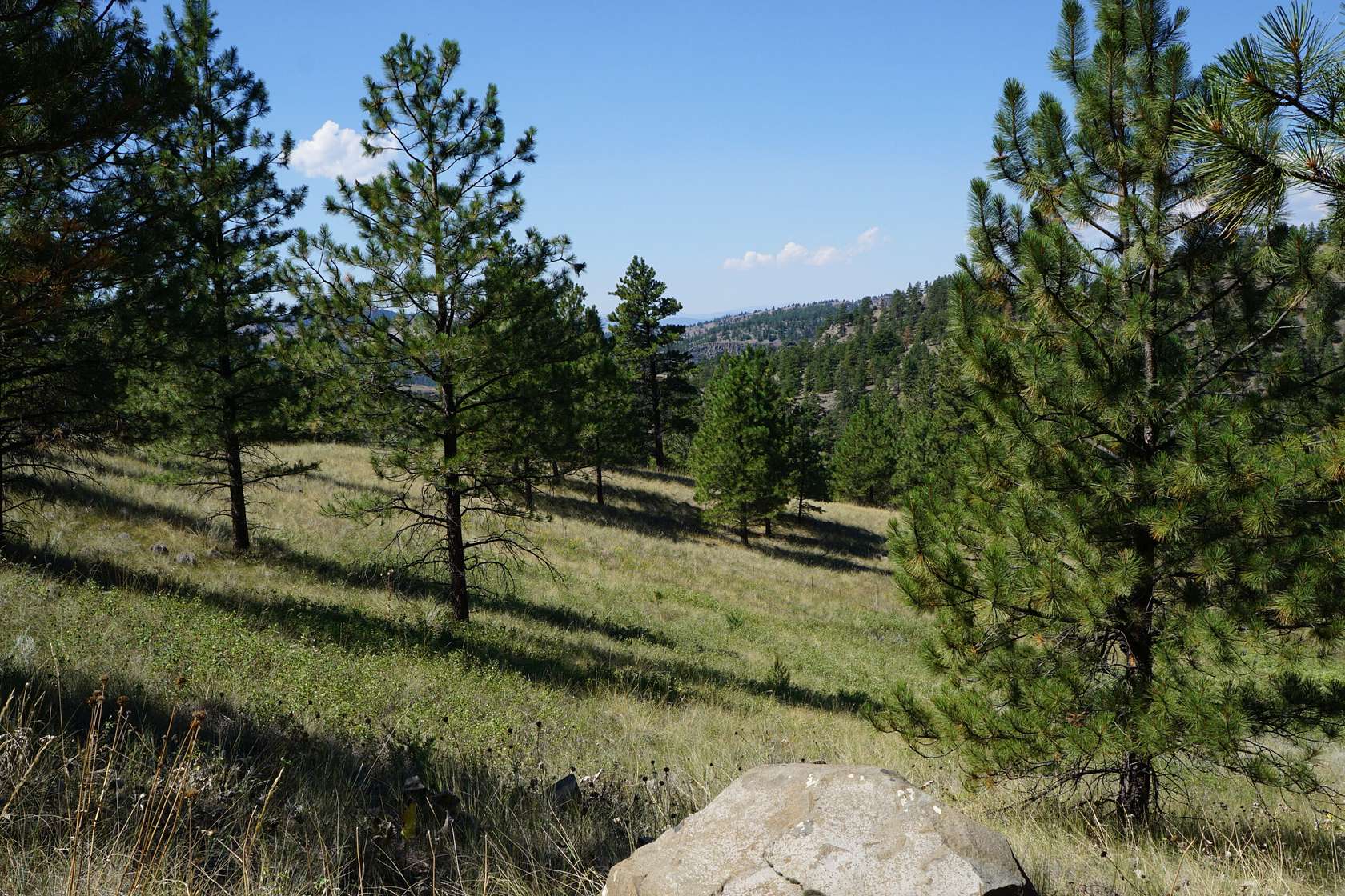 12.5 Acres of Recreational Land for Sale in Cascade, Montana